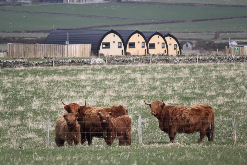 Ferienwohnung Glengolly Getaways Thurso Exterior foto